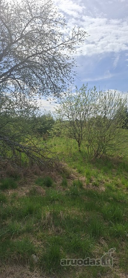 Parduodamas sklypas įsikūręs šalia Kunigiškių - nuotraukos Nr. 15