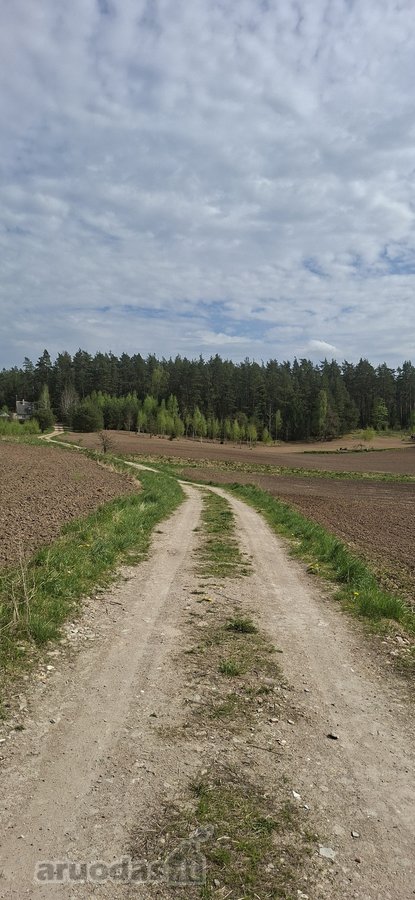 Parduodamas sklypas įsikūręs šalia Kunigiškių - nuotraukos Nr. 17