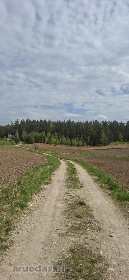 Parduodamas sklypas įsikūręs šalia Kunigiškių - nuotraukos Nr. 21