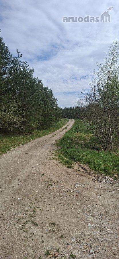 Parduodamas sklypas įsikūręs šalia Kunigiškių - nuotraukos Nr. 30