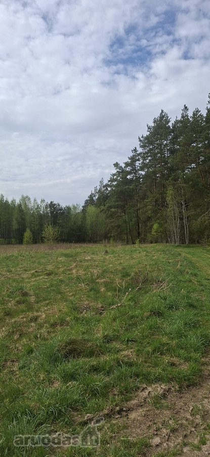 Parduodamas sklypas įsikūręs šalia Kunigiškių - nuotraukos Nr. 33