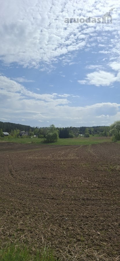 Parduodamas sklypas įsikūręs šalia Kunigiškių - nuotraukos Nr. 20