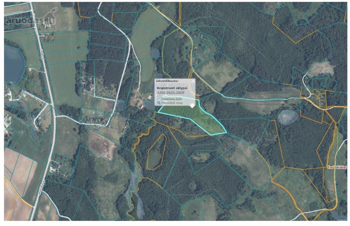 Parduodamas 3,53 Ha Žemės Ūkio Paskirties - nuotraukos Nr. 6