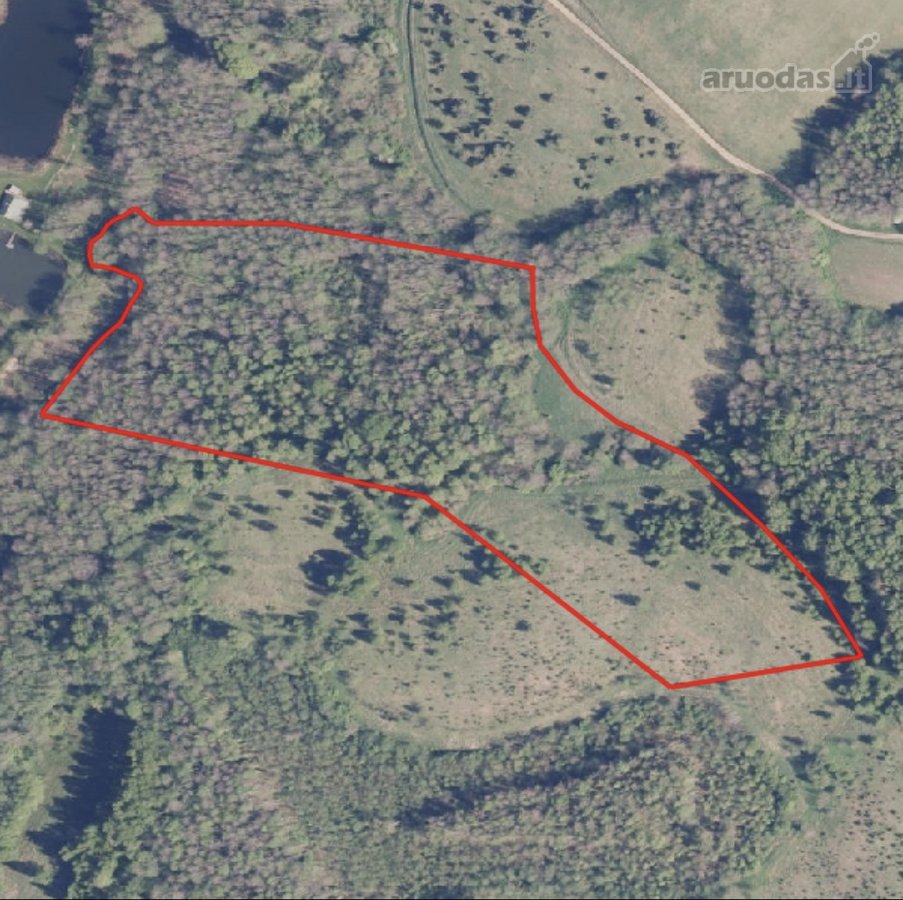 Parduodamas 3,53 Ha Žemės Ūkio Paskirties - nuotraukos Nr. 5