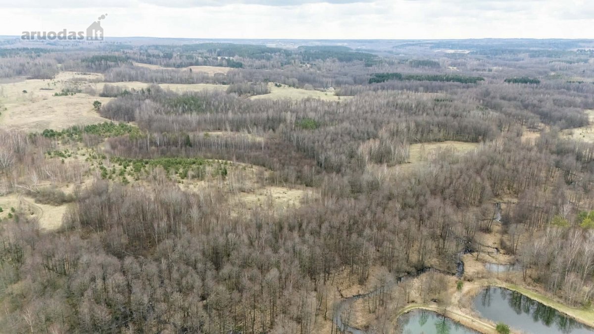 Parduodamas 3,53 Ha Žemės Ūkio Paskirties - nuotraukos Nr. 2