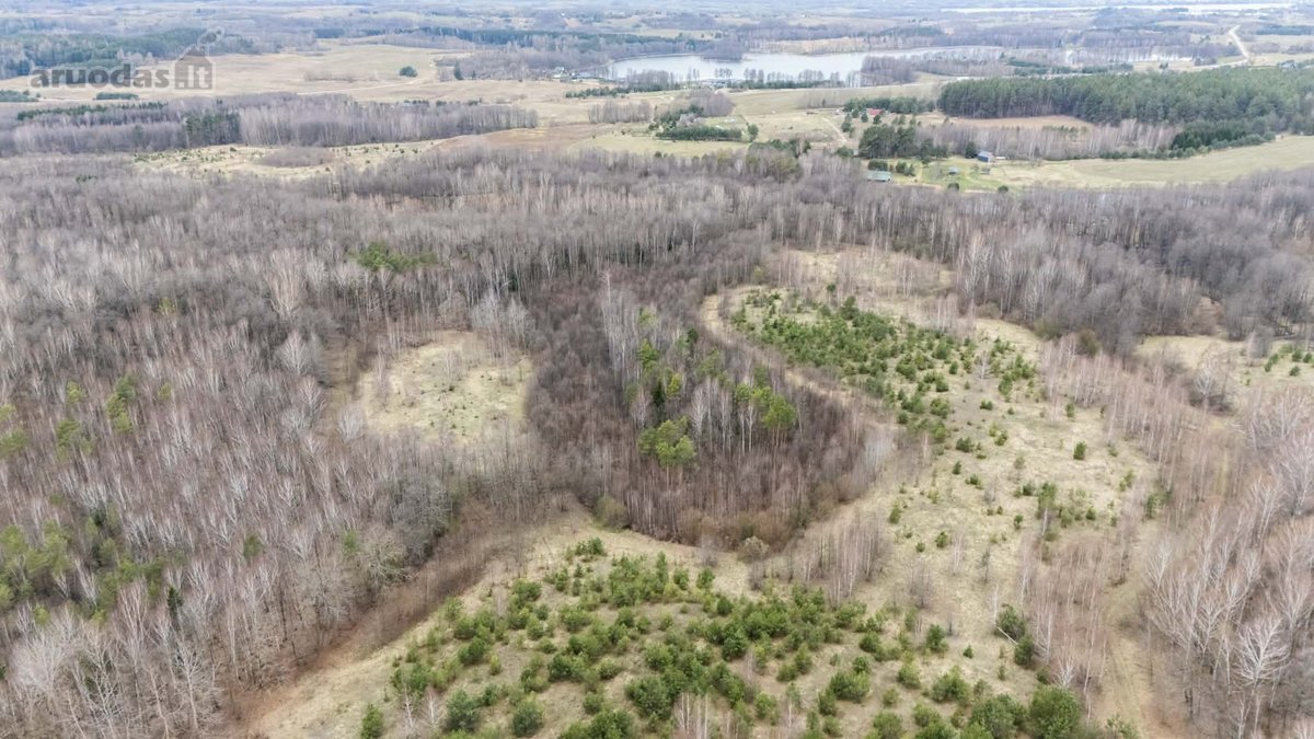 Parduodamas 3,53 Ha Žemės Ūkio Paskirties - nuotraukos Nr. 3
