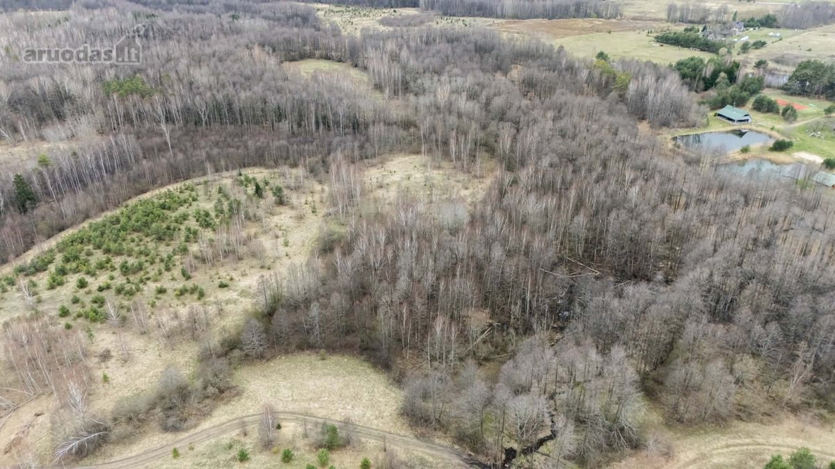 Parduodamas 3,53 Ha Žemės Ūkio Paskirties - nuotraukos Nr. 4