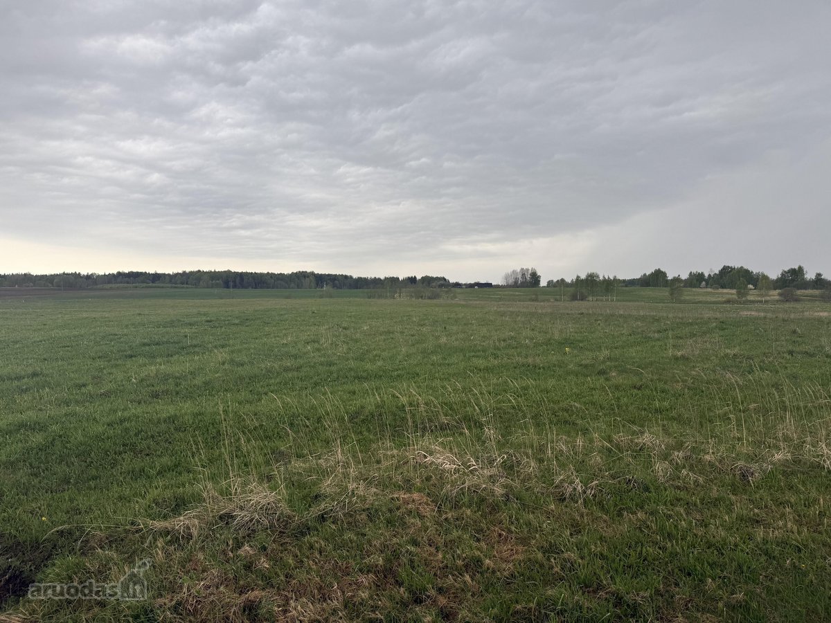 Parduodamas išskirtinis 2,67ha sklypas - nuotraukos Nr. 3