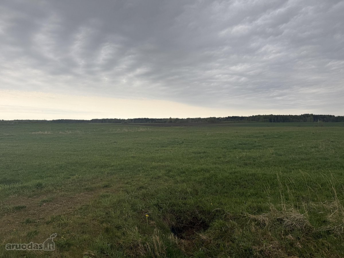 Parduodamas išskirtinis 2,67ha sklypas - nuotraukos Nr. 8