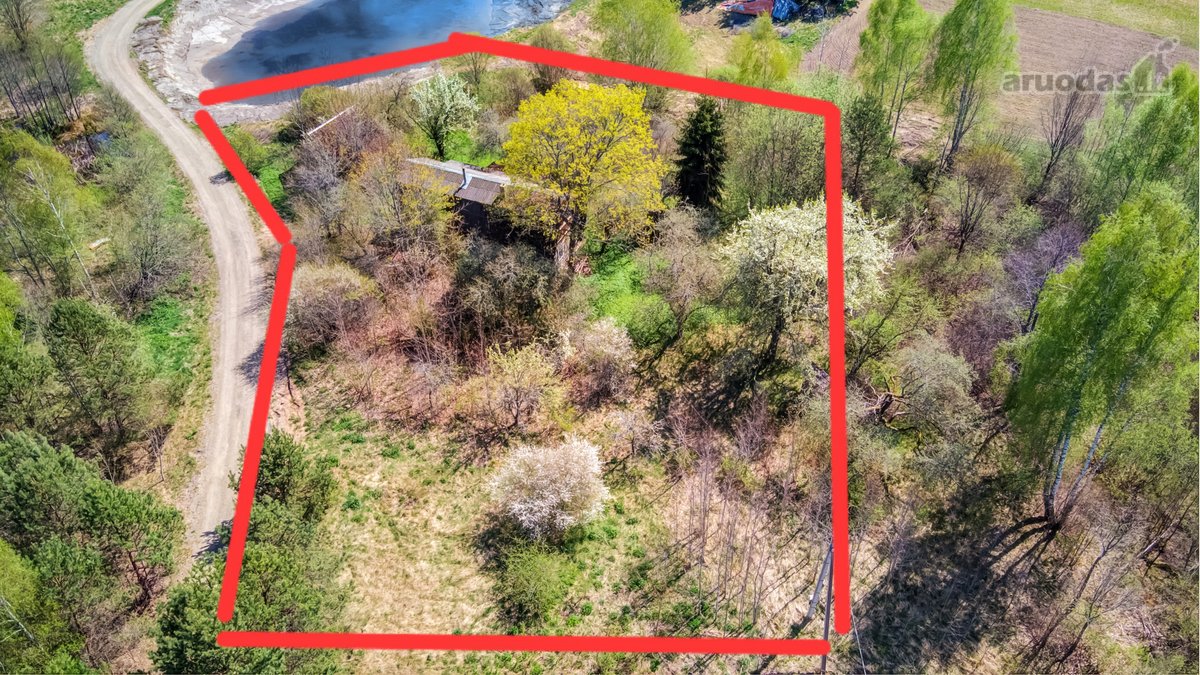 Parduodama jauki sodyba gamtos apsuptyje – - nuotraukos Nr. 7