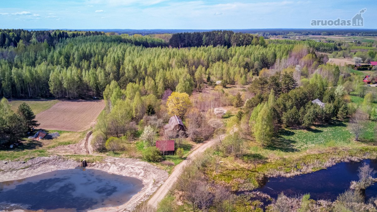 Parduodama jauki sodyba gamtos apsuptyje – - nuotraukos Nr. 8