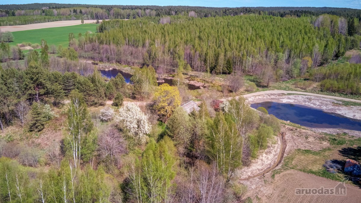 Parduodama jauki sodyba gamtos apsuptyje – - nuotraukos Nr. 9