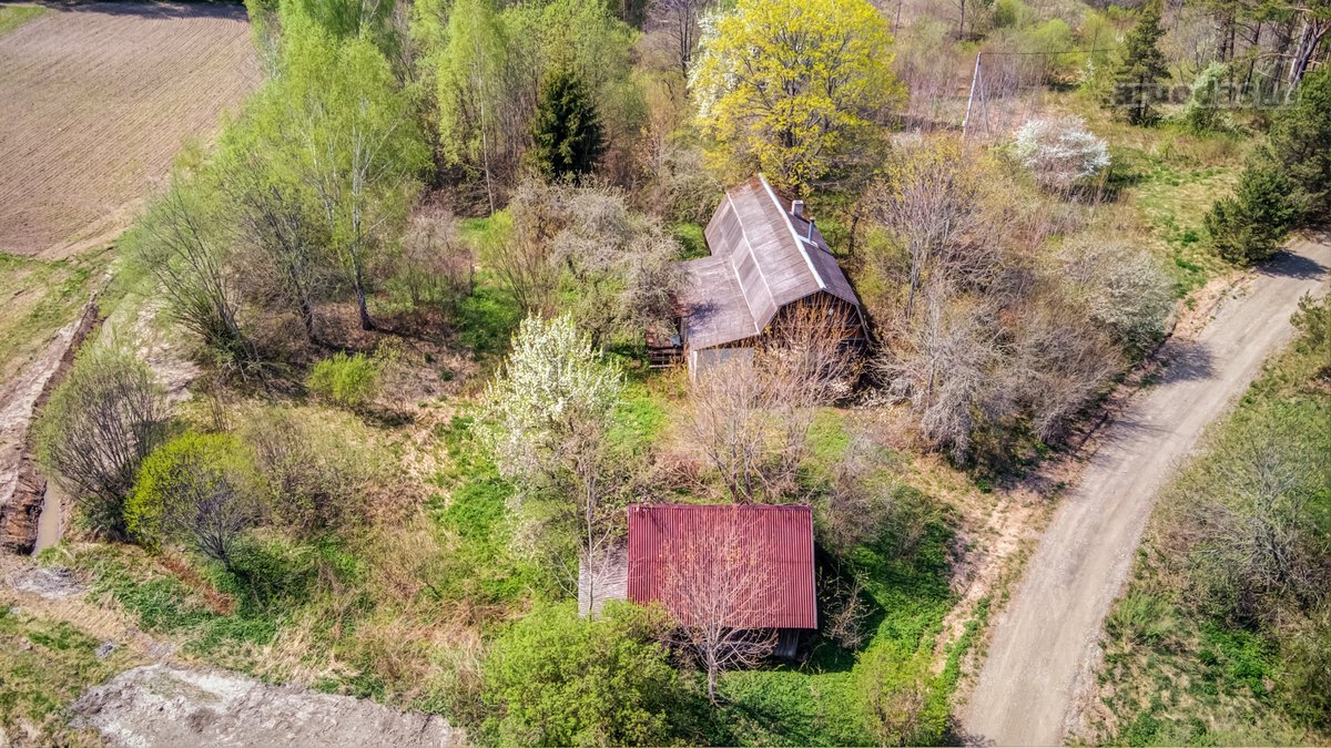 Parduodama jauki sodyba gamtos apsuptyje – - nuotraukos Nr. 10