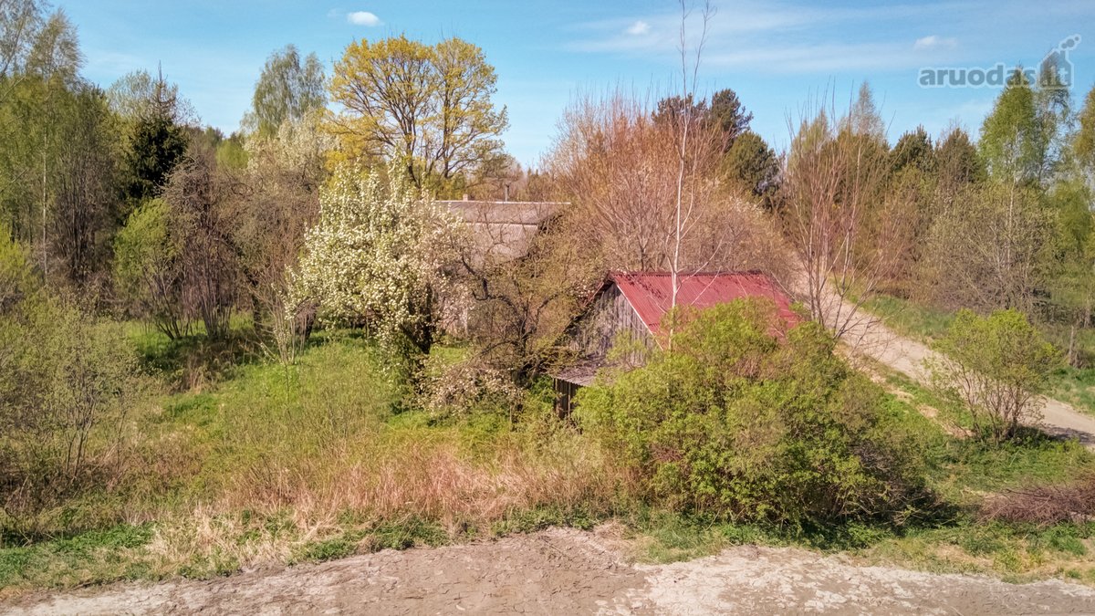 Parduodama jauki sodyba gamtos apsuptyje – - nuotraukos Nr. 37