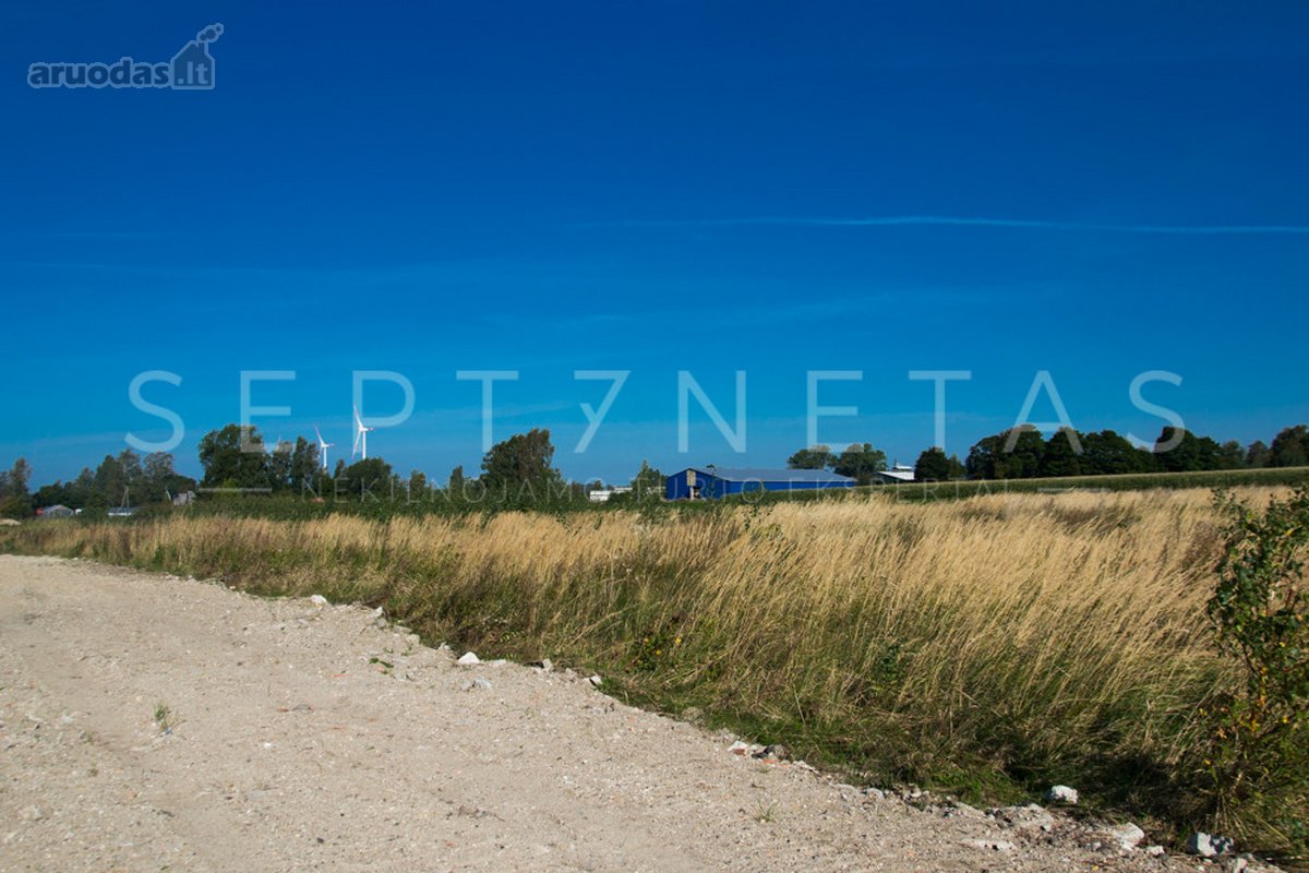 Kretingos raj. Kiauleikių k., parduodami Už - nuotraukos Nr. 3