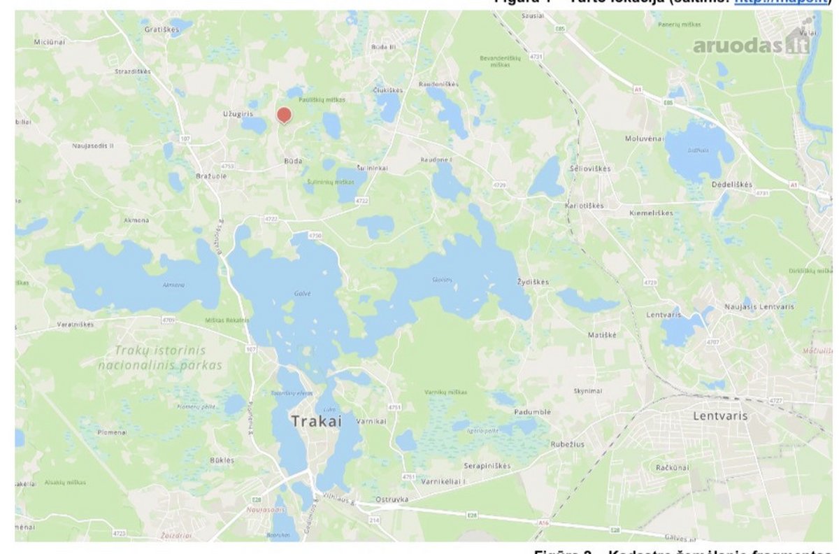 Parduodamas 15,03 Ha Miškų Ūkio Paskirties - nuotraukos Nr. 7