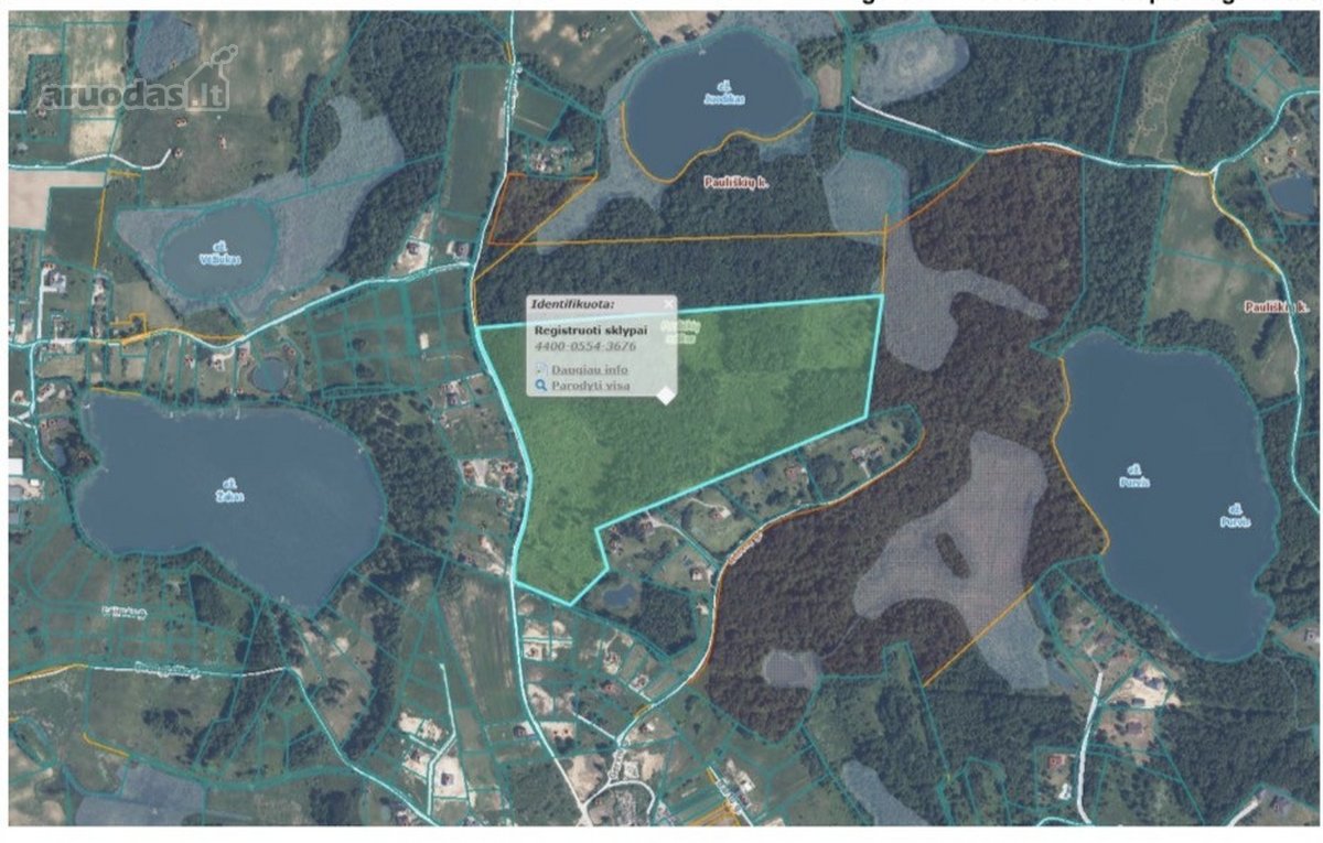 Parduodamas 15,03 Ha Miškų Ūkio Paskirties - nuotraukos Nr. 8