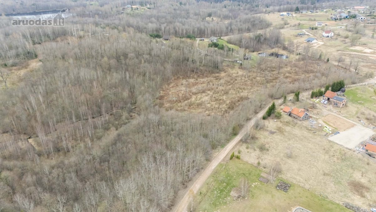 Parduodamas 15,03 Ha Miškų Ūkio Paskirties - nuotraukos Nr. 2