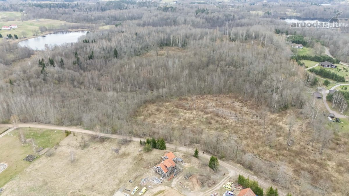 Parduodamas 15,03 Ha Miškų Ūkio Paskirties - nuotraukos Nr. 3