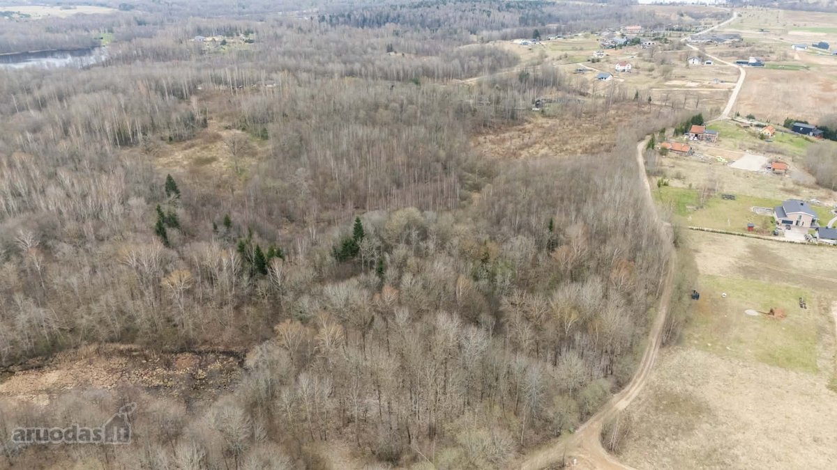 Parduodamas 15,03 Ha Miškų Ūkio Paskirties - nuotraukos Nr. 4