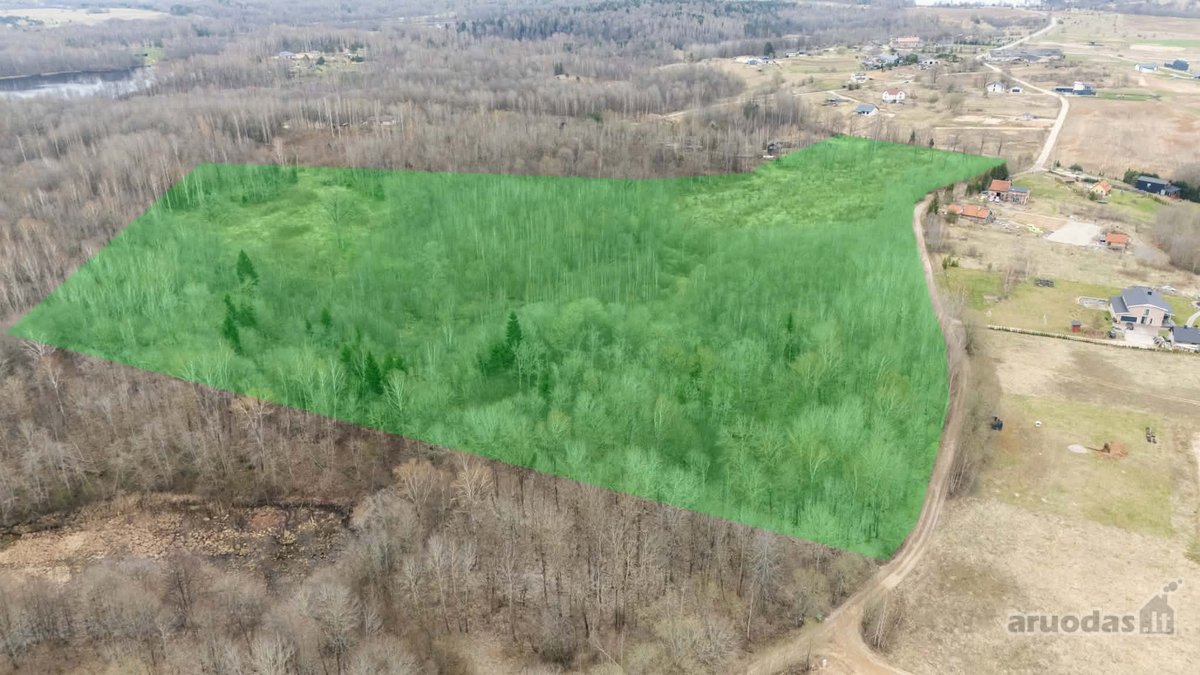 Parduodamas 15,03 Ha Miškų Ūkio Paskirties - nuotraukos Nr. 6