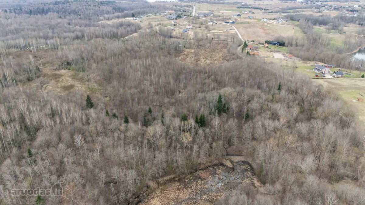 Parduodamas 15,03 Ha Miškų Ūkio Paskirties - nuotraukos Nr. 5
