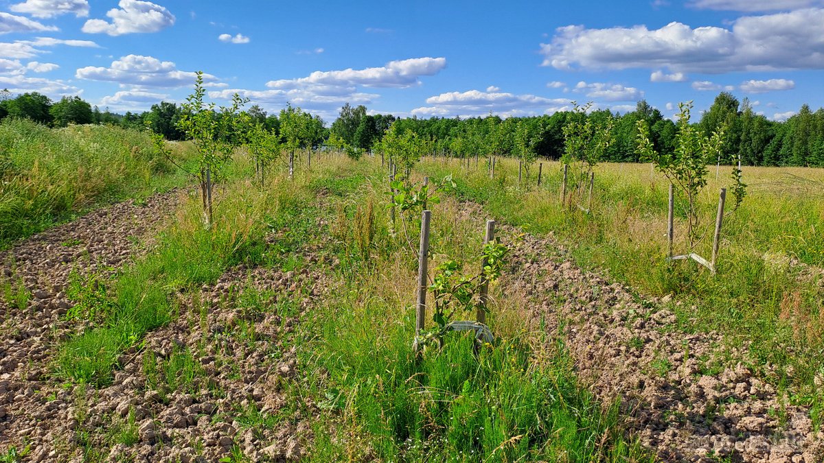 Parduodama 8,3350 Ha Sodyba Su Pastatais - nuotraukos Nr. 15