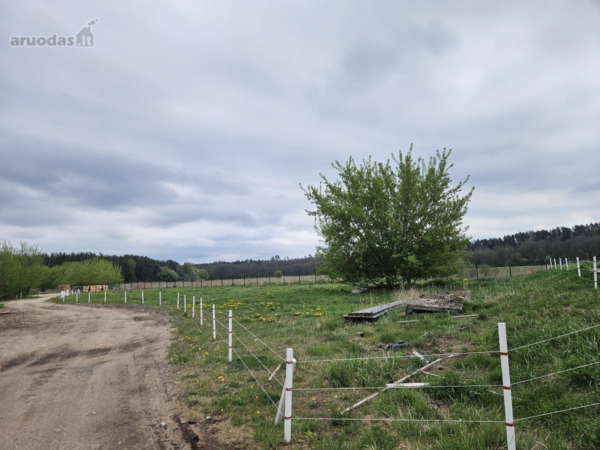 Objektui priklauso 3,06 ha žemės,randasi prie - nuotraukos Nr. 8