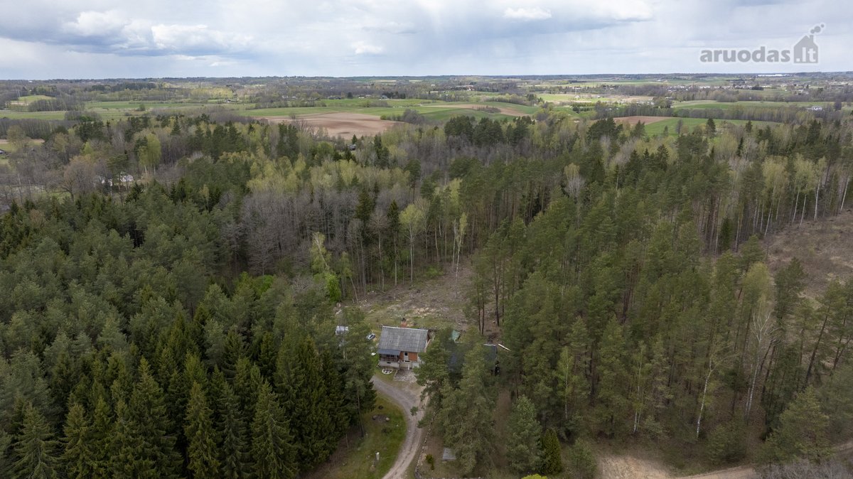 Dzūkijos Vaizdingoje Vietoje Šalia Tolkūnų - nuotraukos Nr. 5