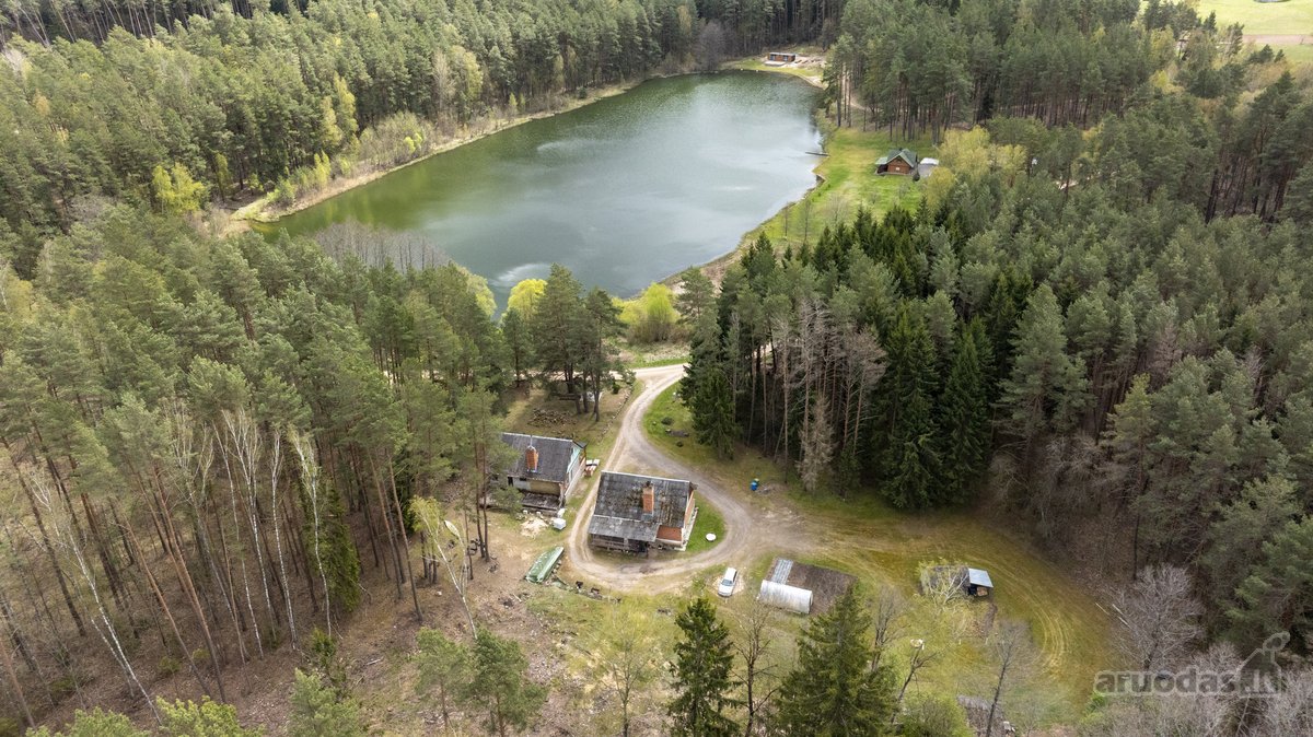 Dzūkijos Vaizdingoje Vietoje Šalia Tolkūnų - nuotraukos Nr. 2
