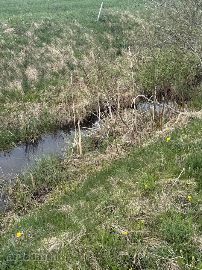 Parduodamas išskirtinis 2,67ha sklypas - nuotraukos Nr. 6