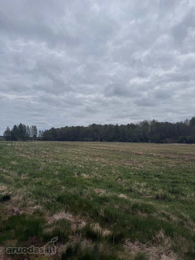 Parduodamas 4,10ha žemės ūkio paskirties