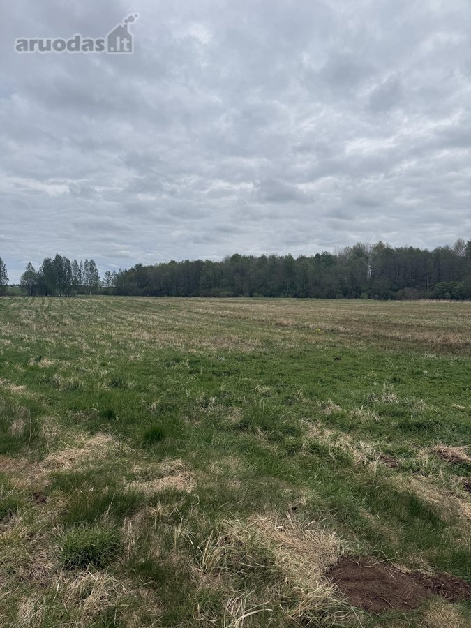 Parduodamas 4,10ha žemės ūkio paskirties - nuotraukos Nr. 2