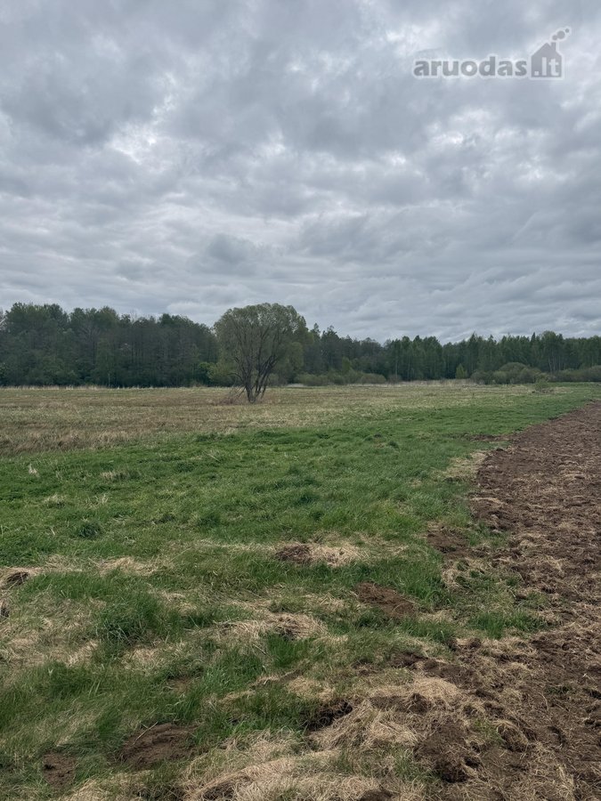 Parduodamas 4,10ha žemės ūkio paskirties - nuotraukos Nr. 4