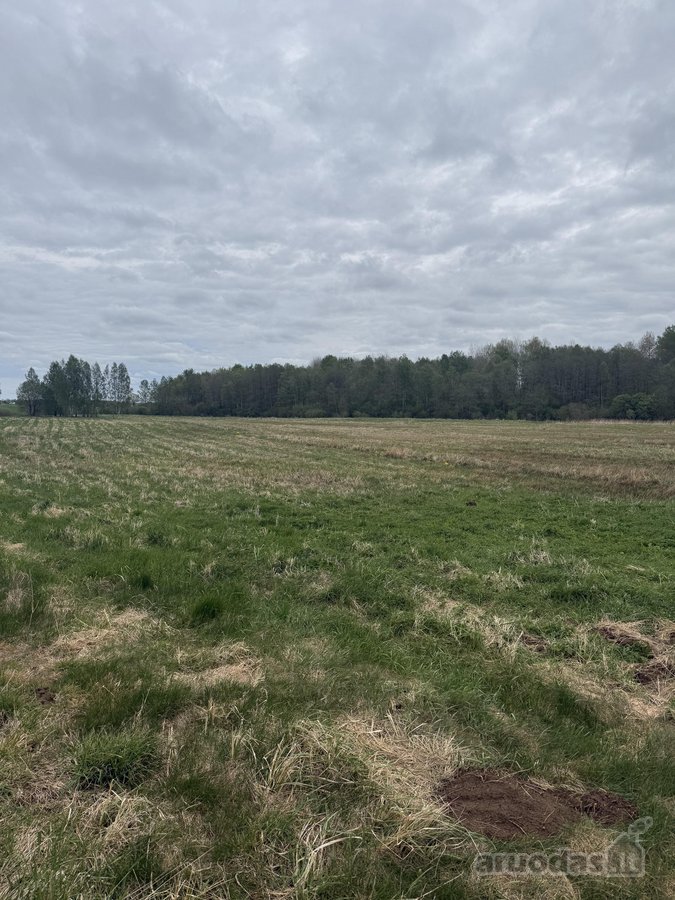 Parduodamas 4,10ha žemės ūkio paskirties - nuotraukos Nr. 5