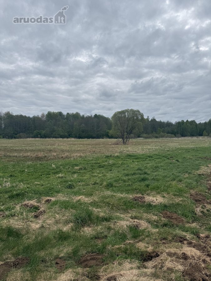Parduodamas 4,10ha žemės ūkio paskirties - nuotraukos Nr. 6