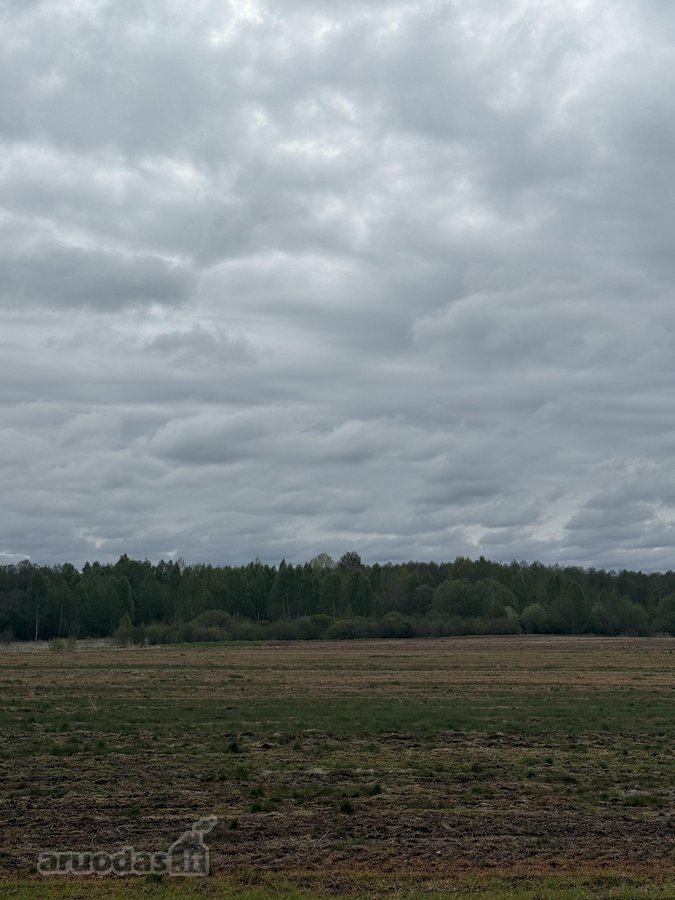 Parduodamas 4,10ha žemės ūkio paskirties - nuotraukos Nr. 7