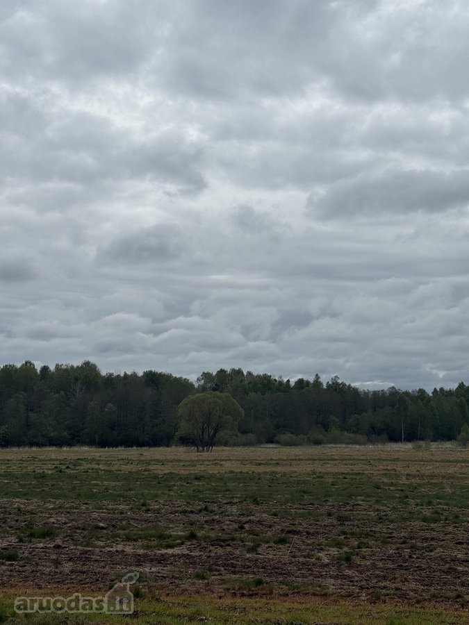 Parduodamas 4,10ha žemės ūkio paskirties - nuotraukos Nr. 3