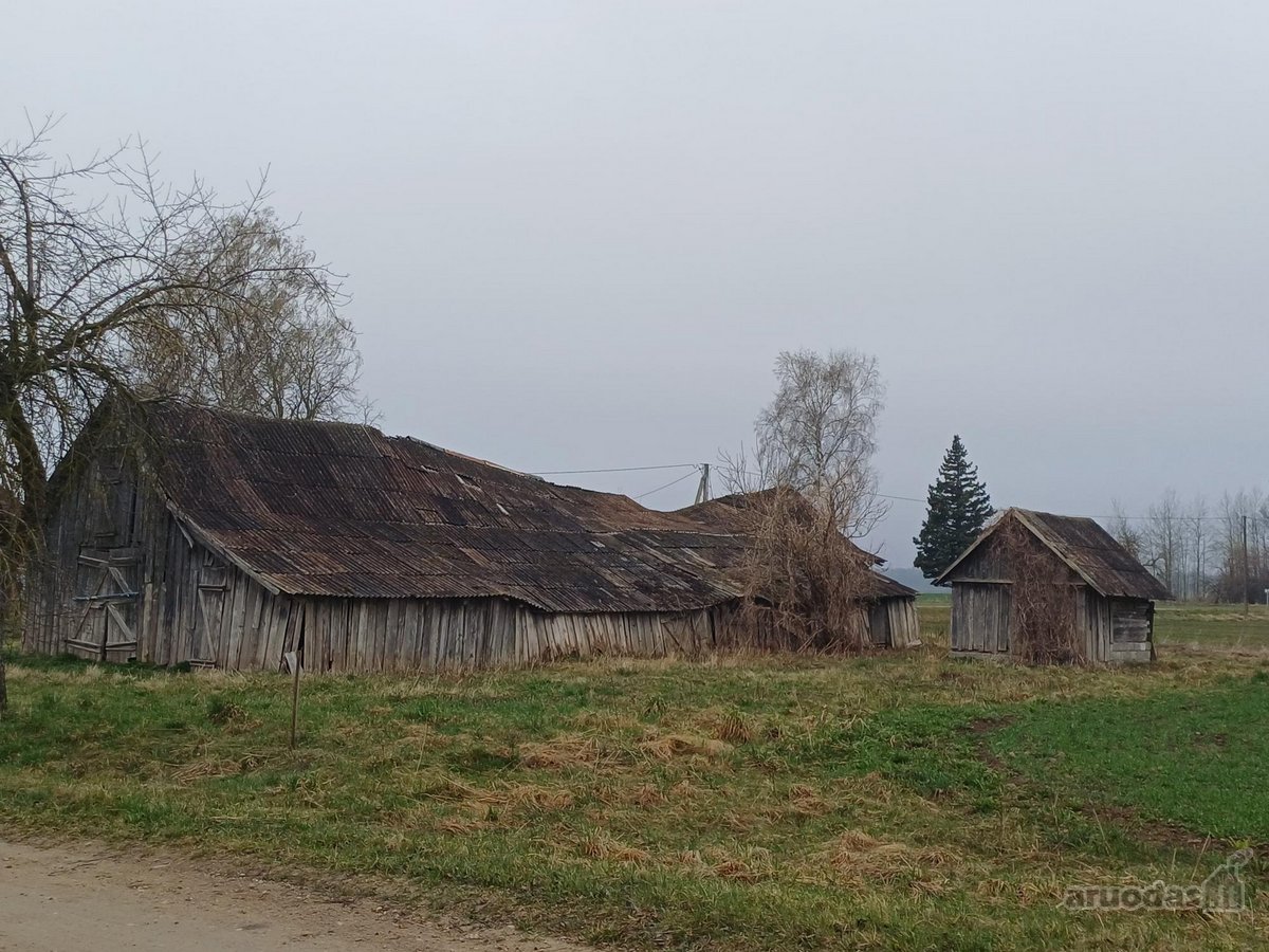 Gyvenamasis namas su žemės sklypu ir - nuotraukos Nr. 20