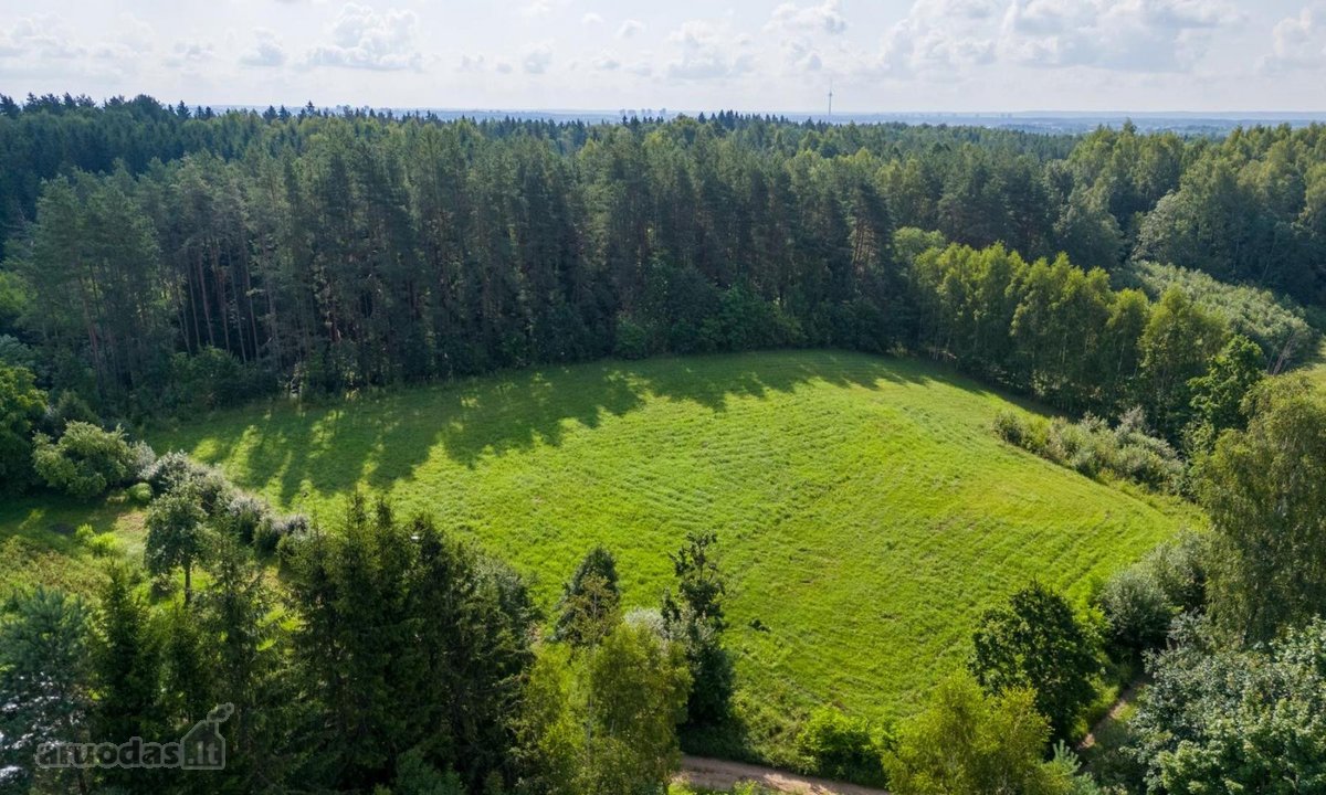Parduodamas išskirtinis 57 arų namų valdos - nuotraukos Nr. 4