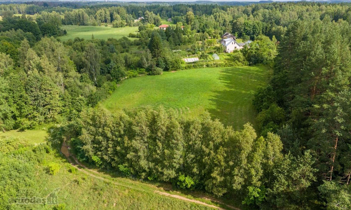 Parduodamas išskirtinis 57 arų namų valdos - nuotraukos Nr. 8