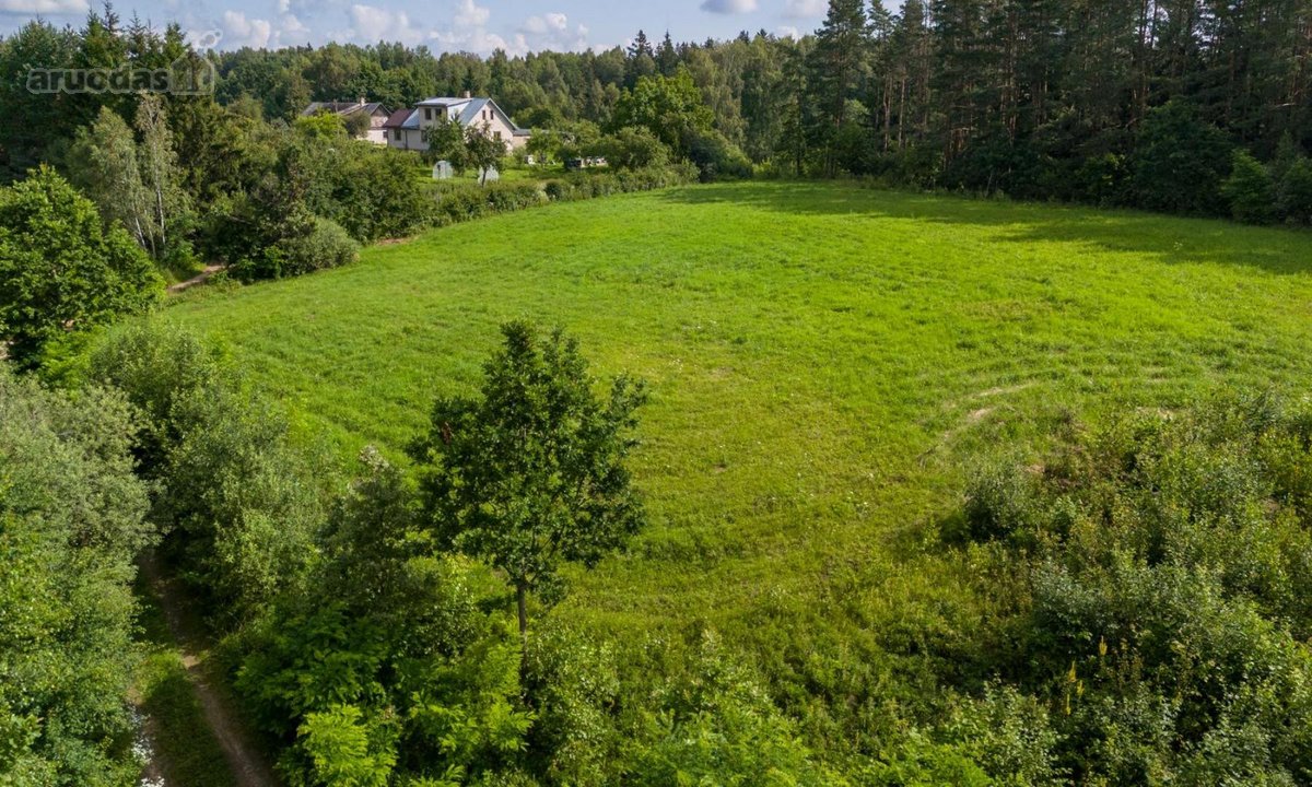Parduodamas išskirtinis 57 arų namų valdos - nuotraukos Nr. 9