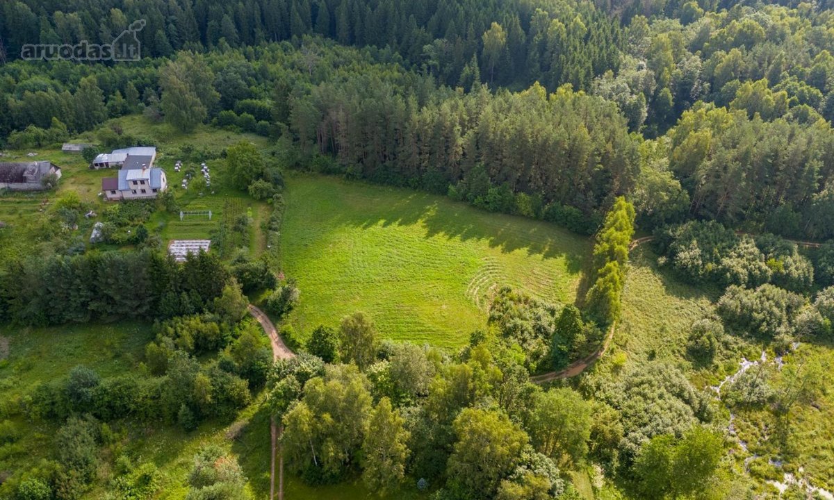 Parduodamas išskirtinis 57 arų namų valdos - nuotraukos Nr. 11