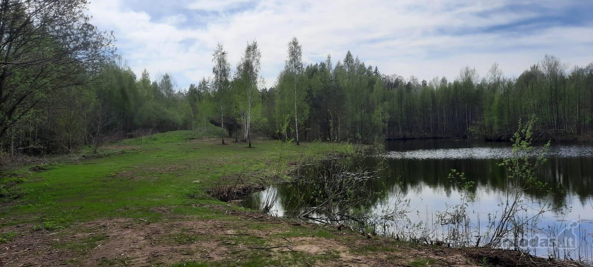 Parduodamas 3,94 ha namų valdos, žemės ūkio, - nuotraukos Nr. 4