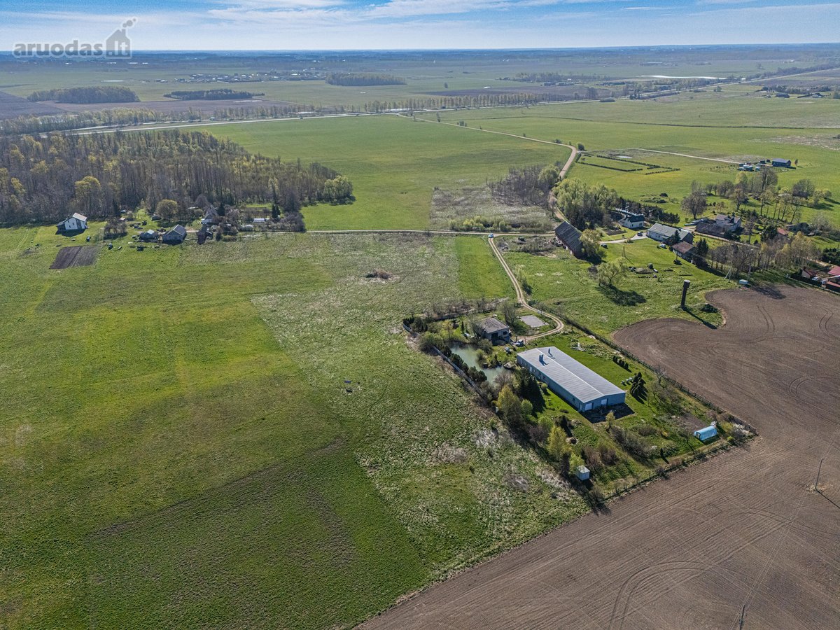 Parduodamas namų valdos sklypas Pajūry - - nuotraukos Nr. 10