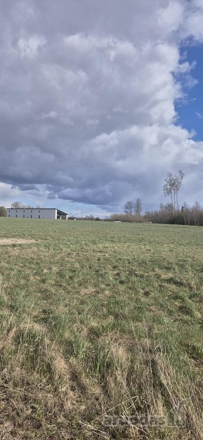 Parduodami du 13 ir 16 arų namų valdos - nuotraukos Nr. 9
