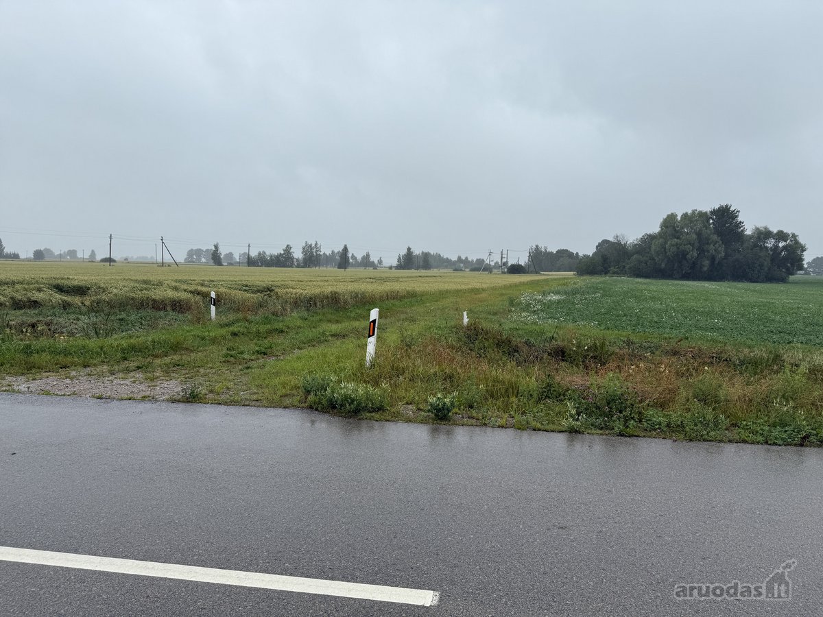 Parduodamas 1,96 ha ūkio paskirties sklypas