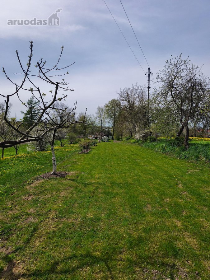 3 kambarių butas +10a. sodo sklypas - nuotraukos Nr. 30