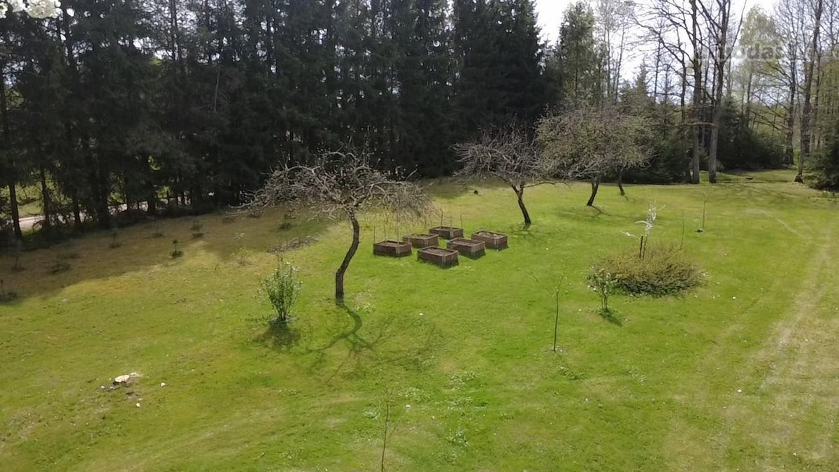 Parduodamas 1.32 ha sklypas, sudarytas iš: - nuotraukos Nr. 12