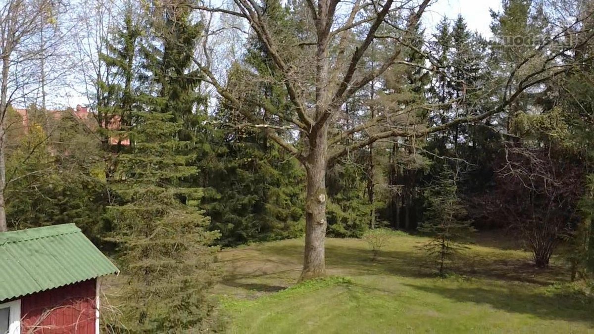 Parduodamas 1.32 ha sklypas, sudarytas iš: - nuotraukos Nr. 14